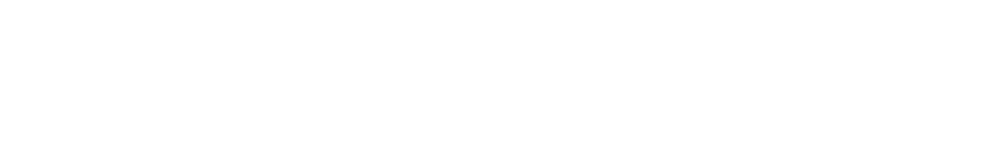 Centro 2020